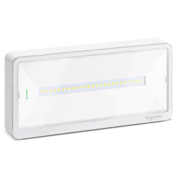 Emergency luminaire, Exiway Light, Standard, selectable duration, 500lm, IP65, white